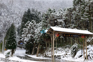 成都拓展基地之雞冠山森林公園